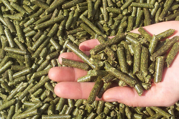 Feed pellet production use flat die pelletilizer machine