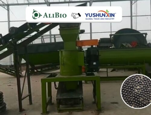 التحبيب البيولوجي المعزز بالسماد في المكسيك